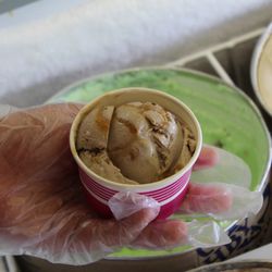 Creamy Scoops of Indian Land