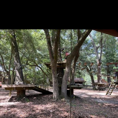 Tallahassee Museum by null
