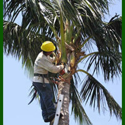 Green Leaf Landscaping & Irrigation