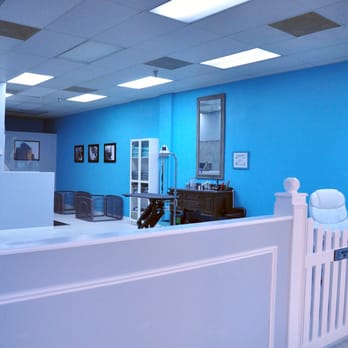 Bark Twice - Pet Groomers Near Me - Tampa Bay, Florida Bark Twice - Pet Groomers Near Me - Tampa Bay, Florida