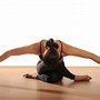 Movement Focus