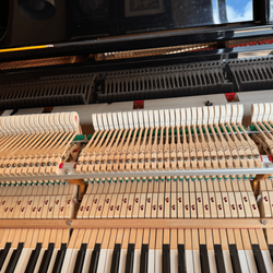 Peyton Wright Piano Tuning - Dry lubricant applied to hammer butt leather