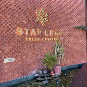 Star Leaf - Asian Fusion Near Me - Pasadena, California Star Leaf - Asian Fusion Near Me - Pasadena, California
