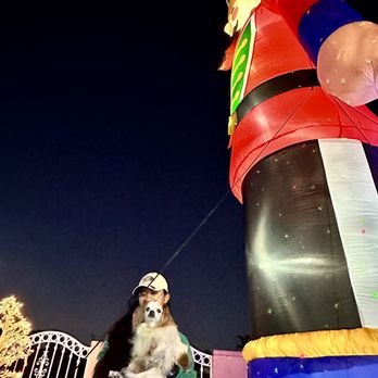 The Home Depot - years ago i bought this 20 Feet NUTCRACKER at HOME DEPOT and until now its Standing well and strong . - Hardware Stores Near Me - San Diego, California