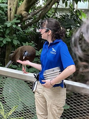 National Aviary by null