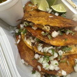 River Bear Tacos