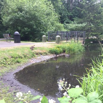 Mill Creek Earthworks Park - Showing up early enough, you will see homeless people and families of ducks still snoozing. - Parks Near Me - Kent, Washington Mill Creek Earthworks Park - Showing up early enough, you will see homeless people and families of ducks still snoozing. - Parks Near Me - Kent, Washington