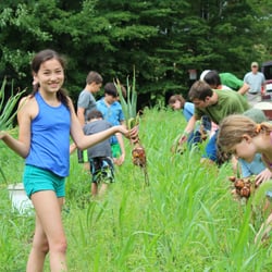 The Nature Place Day Camp