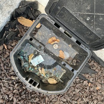 BC Exterminating 1 - Unlocked box. Tried to say a Racoon opened it. Didn't know Racoons could pick locks. - Pest Control Near Me BC Exterminating 1 - Unlocked box. Tried to say a Racoon opened it. Didn't know Racoons could pick locks. - Pest Control Near Me