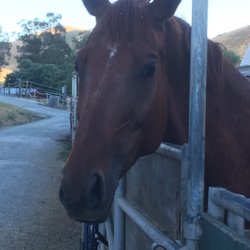 Meandering Creek Equestrian Center