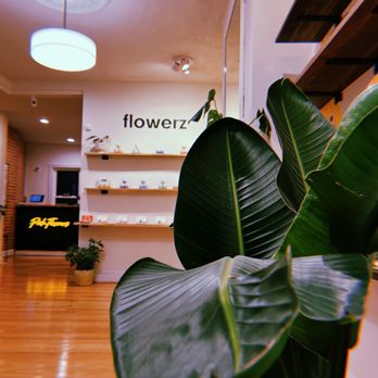 flowerz - Vitamins & Supplements Near Me - Washington, DC, District of Columbia