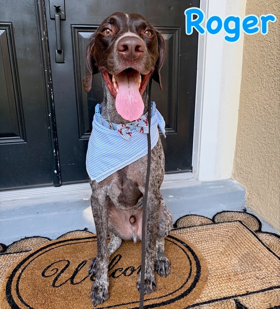 Sit Pretty - pet boarding facility in Apopka, FL