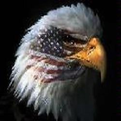 Pinnacle Security Services