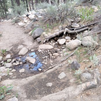 Galena Creek Trail - Lots of little creeks to join the big creek! - Parks Near Me - Reno, Nevada Galena Creek Trail - Lots of little creeks to join the big creek! - Parks Near Me - Reno, Nevada