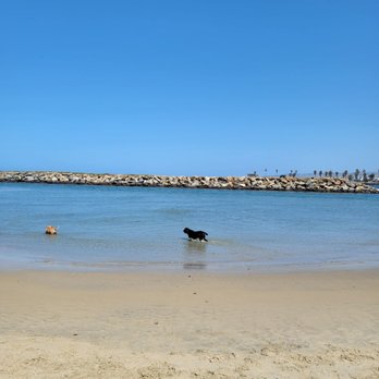 Ocean Beach Dog Beach - Beaches Near Me - San Diego, California