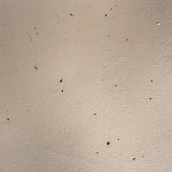 Anchor Bay Inn - Mold spores on ceiling above shower - Hotels Near Me - Reedsport, Oregon Anchor Bay Inn - Mold spores on ceiling above shower - Hotels Near Me - Reedsport, Oregon