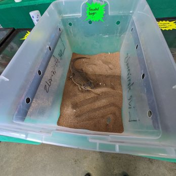 7 MILE FAIR - Updated February 2026 - 21 Photos - 2720 W 7 Mile Rd