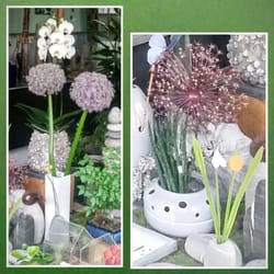 Stil' leben Blumen