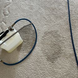 Bruce's Carpet Cleaning - Pet stains