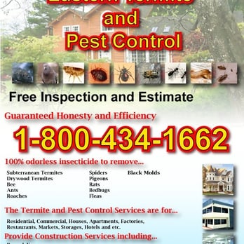 Eastern Termite & Pest Control - English - Pest Control Near Me - Los Angeles, California Eastern Termite & Pest Control - English - Pest Control Near Me - Los Angeles, California