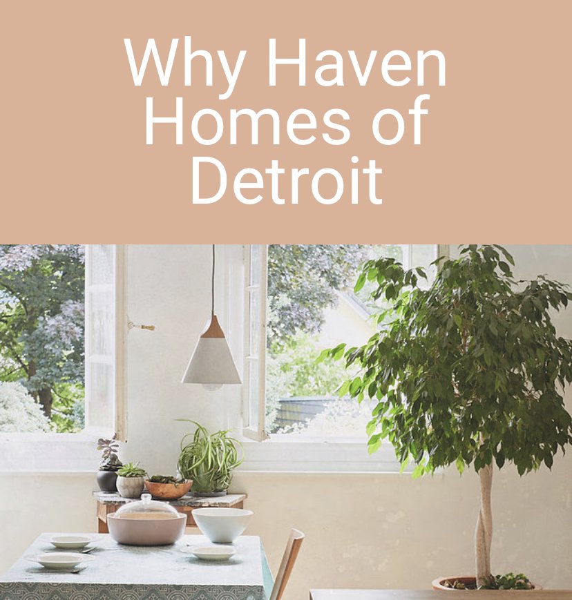 Haven Homes of Detroit - social services organization in Highland Park, MI