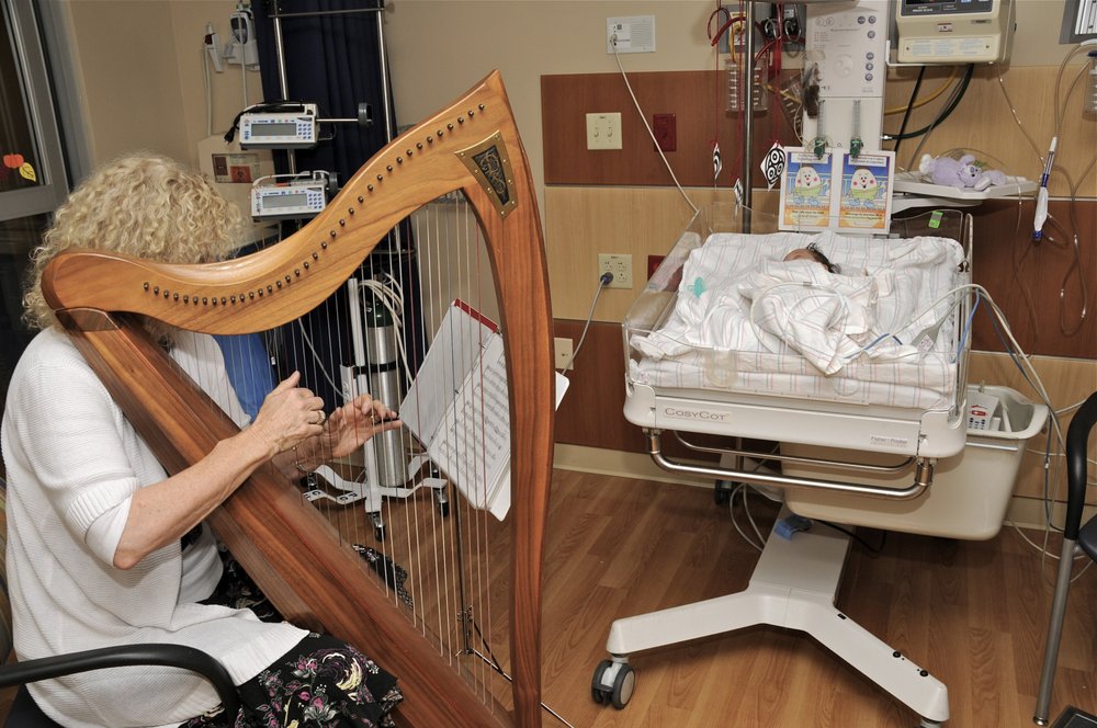 THERAPEUTIC HARP FOUNDATION 13 Photos 200 E Mitchell Dr, Phoenix