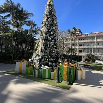 San Diego Trolley - One of Coronado Hotel Christmas trees and my sister in law picture with her daughter that flew in from Michigan - Public Transportation Near Me - San Diego, California San Diego Trolley - One of Coronado Hotel Christmas trees and my sister in law picture with her daughter that flew in from Michigan - Public Transportation Near Me - San Diego, California