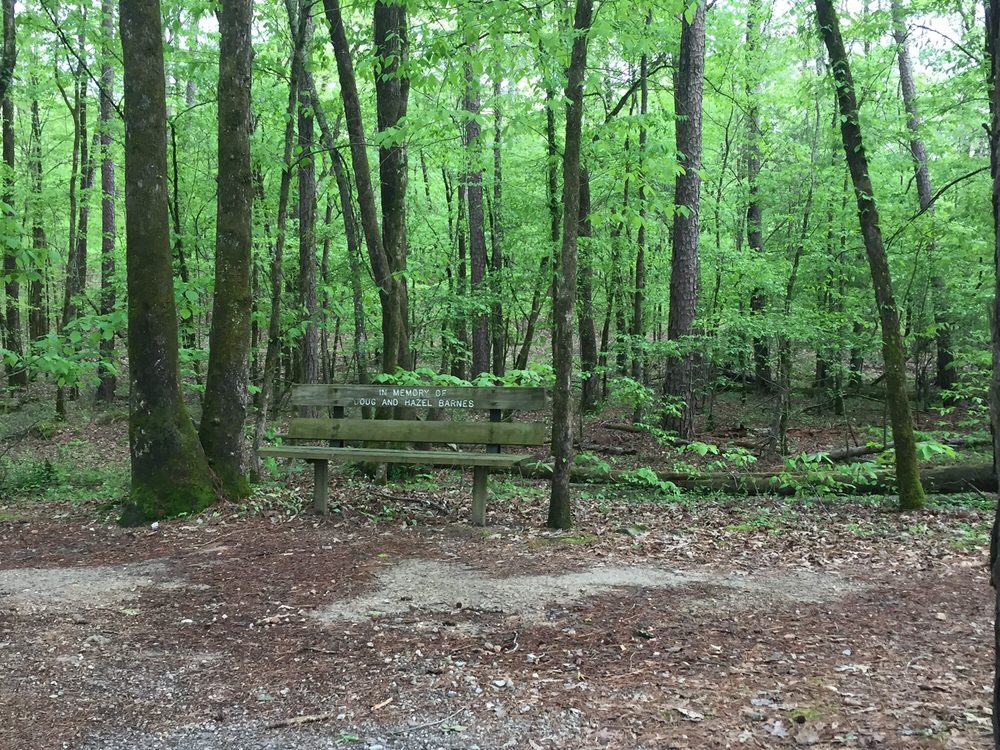 Cedar Creek Trail Logo