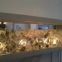 Photo of Florist Klima