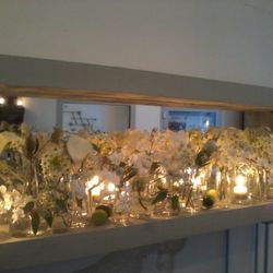 Florist Klima