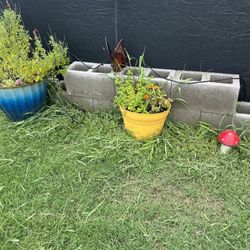 Executive Lawn Care