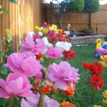 Mera Gurukul - Child Care & Day Care Near Me - Plano, Texas Mera Gurukul - Child Care & Day Care Near Me - Plano, Texas