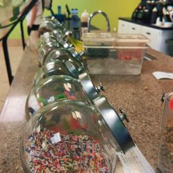 Counter Culture Frozen Yogurt