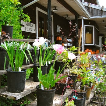 The Country Store & Farm - Plant selection - Accessories Near Me - Vashon, Washington The Country Store & Farm - Plant selection - Accessories Near Me - Vashon, Washington
