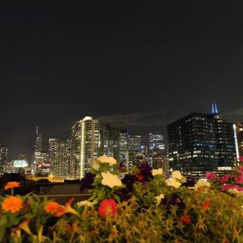 Bar Tabu - View from rooftop while enjoying food and cocktails and friends. - Salad Near Me - Chicago, Illinois