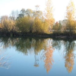Allinger Weiher