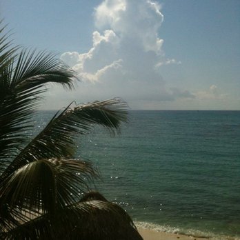 Turtle Bay Bakery & Cafe - Breakfast & Brunch Near Me - Akumal, ROO Turtle Bay Bakery & Cafe - Breakfast & Brunch Near Me - Akumal, ROO
