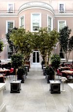 The Wallace by null