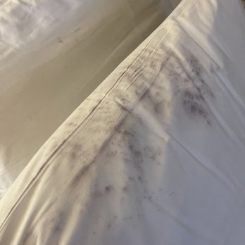 Hotel Jefe - Stained pillow cases room 221 - Hotels Near Me - North Las Vegas, Nevada