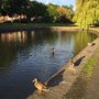 Photo of Ranelagh Gardens