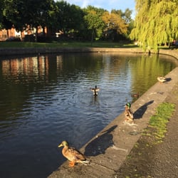 Ranelagh Gardens