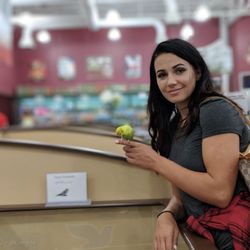 Petland Bolingbrook