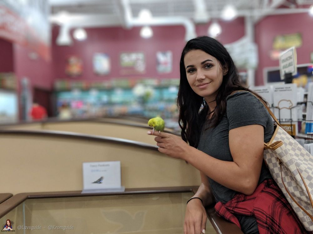 Petland Bolingbrook - reptile breeding in Bolingbrook, IL