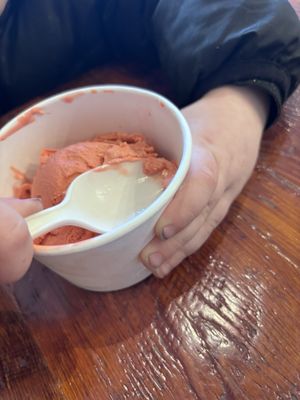 Dippity Do Dahs Homemade Ice Cream by null