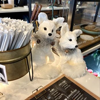 Foxtail Coffee - Coffee & Tea Near Me - Mount Dora, Florida