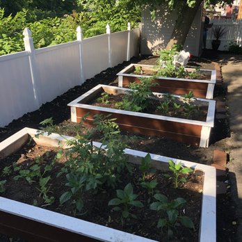 Cafe Reyes - Homegrown peppers, tomatoes, zucchini and strawberries - Cuban Near Me - Worcester, Massachusetts