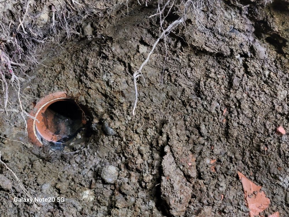 Slide of Kirkland Rooter