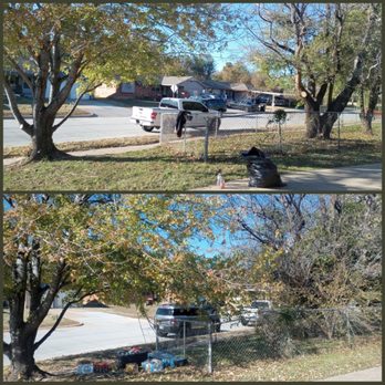 Prairie Wind Tree Service - Tree Services Near Me - Norman, Oklahoma