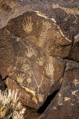 Petroglyph National Monument by null