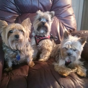 Pet Sitters Of Naples - Add a caption - Dog Walkers Near Me - Naples, Florida Pet Sitters Of Naples - Add a caption - Dog Walkers Near Me - Naples, Florida